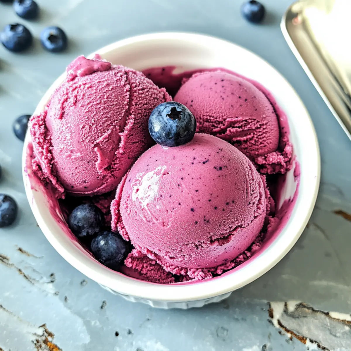 BLAUBEER-SORBET: Erfrischend und zuckerfrei